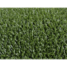astro turf aves rapaces ceteria verde